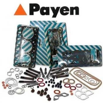 Payen CG7990 Guarnizioni Testata Daewoo