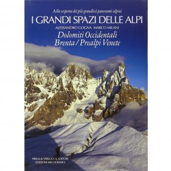 I grandi spazi delle Alpi. Ediz. illustrata. Dolomiti occidentali, Brenta, Prealpi Venete