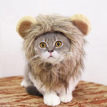 Funny Cat Lion Hat