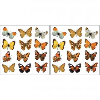 Set Stickers M Butterfly