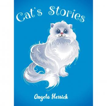 Cat's Stories