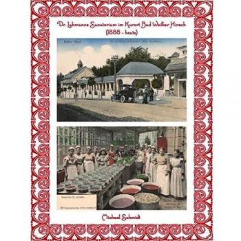 Michael Schmidt Dr. Lahmanns Sanatorium Im Kurort Bad Weißer Hirsch (1888
