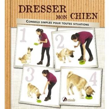 Dresser mon chien : Conseils simples pour toutes les situations