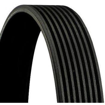 Correia CONTITECH 8PK980 Estriada