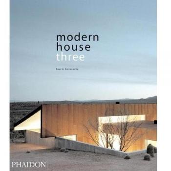 Modern house three