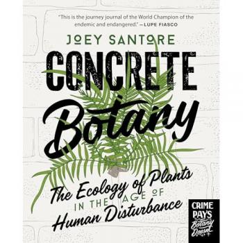 Joey Santore Concrete Botany