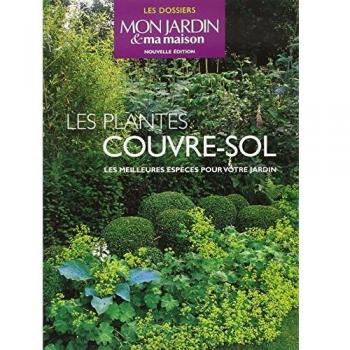 Les plantes couvre-sol : Les meilleures espèces pour votre jardin