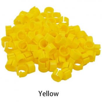 Pigeon & Small Bird Foot Rings – 500pcs, 8mm Diameter, Multi‑Color