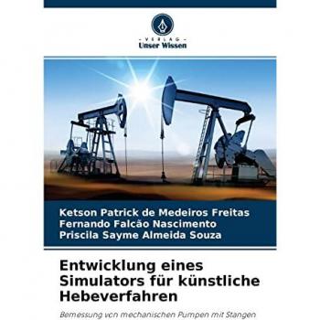 de Medeiros Freitas, Ketson Patrick: Entwicklung eines Simulators für künstliche Hebeverfahren