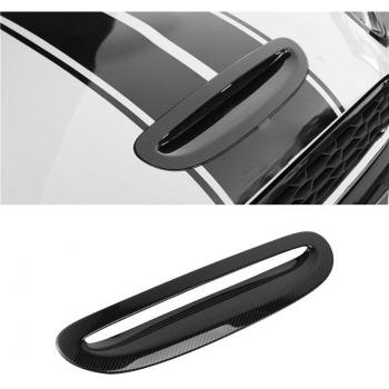 Protector de Entrada Aire Carbono MINI Cooper