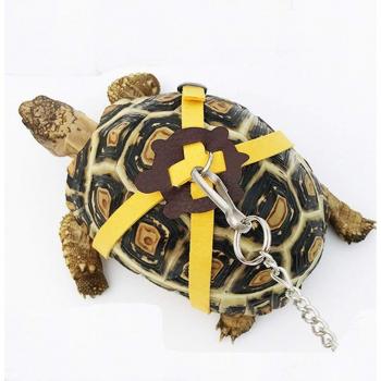 Adeeing Turtle Training Belt
