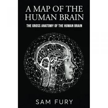 A Map of the Human Brain
