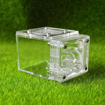 Ants Villa House