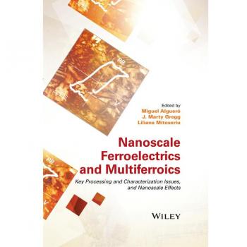 Vitalsource Technologies, Inc. Nanoscale Ferroelectrics And Multiferroics: Key Processing And Characte