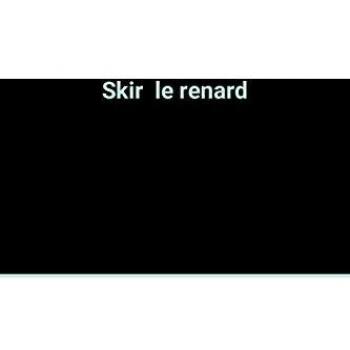 Skir  le renard