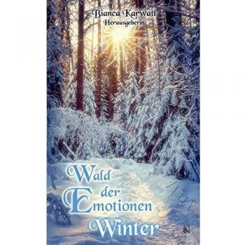 Wald der Emotionen: Winter