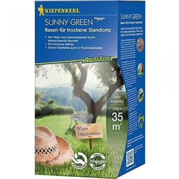 Prato Professionale Sunny Green per Ambienti Secchi 1 kg