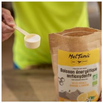 Boisson Antioxydante Meltonic Citron 700g