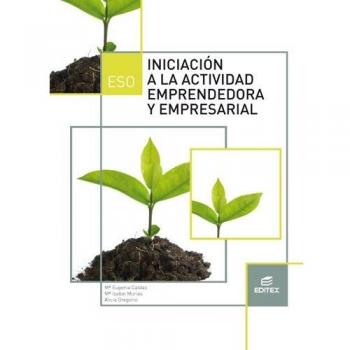 Iniciación a la actividad emprendedora y empresarial