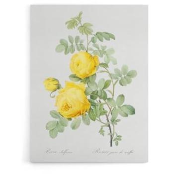 Artery8 “Golden Blossom” 18×24 Canvas in White