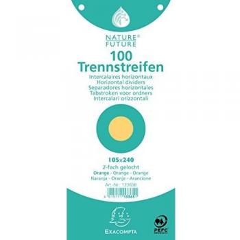 Fiches Perforées EXACOMPTA 100 unités 105x240 mm Orange