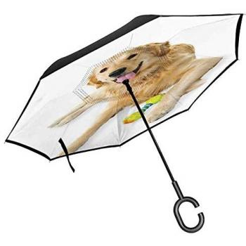 Kit di Cuscinetti per Ruota ESEN SKV 29SKV261