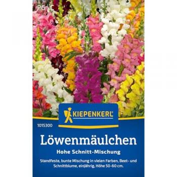 Löwenmäulchen, Bunte Blütenmischung