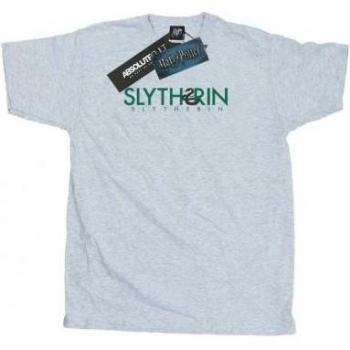 Harry Potter Slytherin Herren T-Shirt Grau