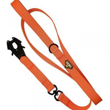 Correa Táctica Profesional Golden 22k Pro-Leash para Perros