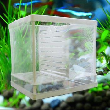 Suction Cup Fish Breeding Isolation Box