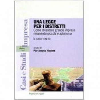 Una legge per i distretti. Come diventare grande impresa rimanendo piccola e autonoma. Il caso Veneto