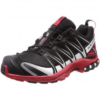 Salomon Xa Pro 3D GTX, Herren Wanderschuhe, Schwarz (Barbados Cherry), 41 1/3 EU (7.5 UK)
