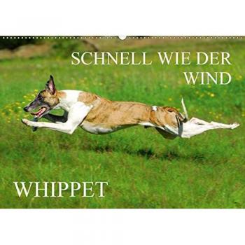 Schnell wie der Wind