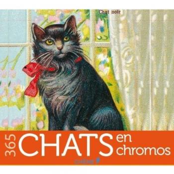 365 chats en chromo