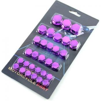 Accesorios de Motocicleta: Set de 30 Tornillos