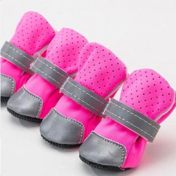 Pet Footwear