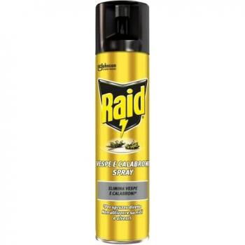 Raid Spray Insecticide pour Guêpes et Frelons