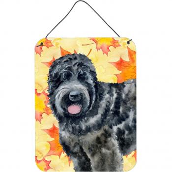 Caroline’s Treasure: Bold Black Russian Terrier – 16 x 12 Colorful Metal Print