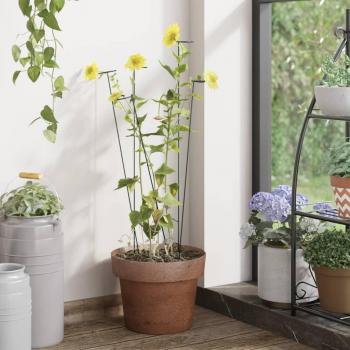 VidaXL Garden Plant Stakes