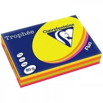 Papier couleur Trophée