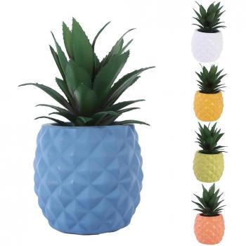 Bonsaï Ananas pour Bureau