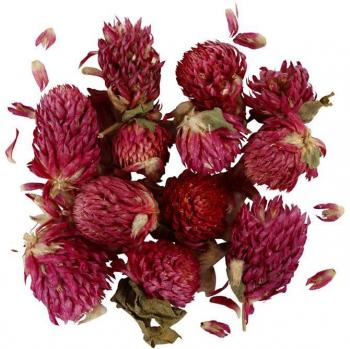 Trockenblumenmix Rotes Kleeblatt 15g