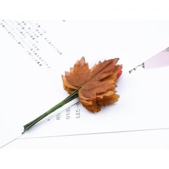 Coffret Feuilles d’Érable – Idéal Bricolage & Mariage