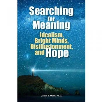 Searching for Meaning: Idealism, Bright Minds, Disillusionment, and Hope
