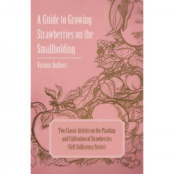 A Guide to Growing Strawberries on the Smallholding