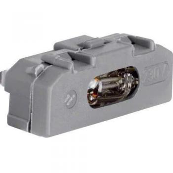 Interruttore Luminoso Berker 230V Grigio