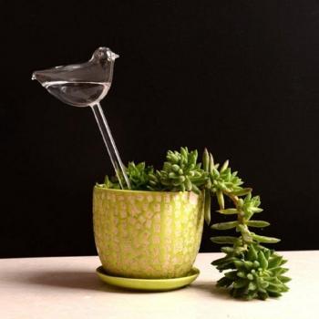 Glass Self-Watering Device