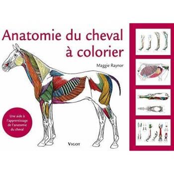 Anatomie du cheval Ã  colorier