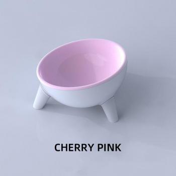 Non-Slip Cat and Dog Food Bowl
