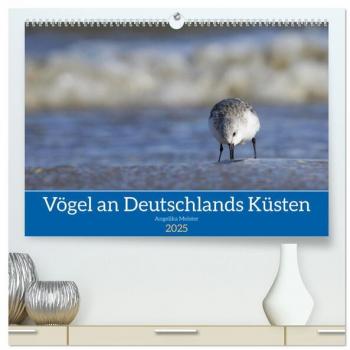 Vögel an Deutschlands Küsten (hochwertiger Premium Wandkalender 2025 DIN A2 quer) Kunstdruck in Hochglanz